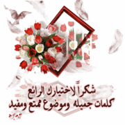 لنسخة العربية من برنامج فوتوشوب 9 + الكراك 931470